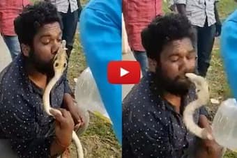 Man Kissed Snake:लड़का किंग कोबरा को कर रहा था किस, सांप ने ऐसा जवाब दिया कि खो गया, देखें वायरल वीडियो