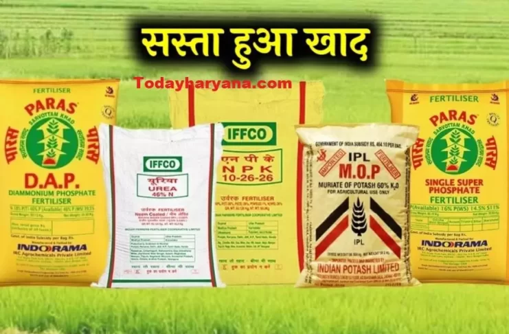 Fertilizer Price Today: