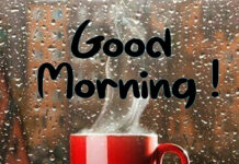 Good Morning Wishes For Lover: