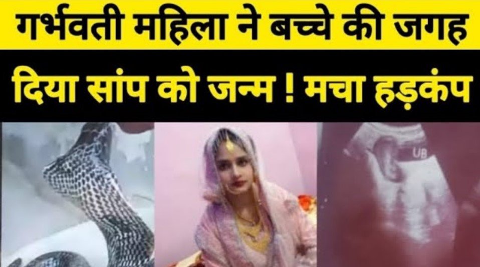 Viral News - एक गर्भवती महिला ने बच्चे के जगह दिया किंग कोबरा सांप को जन्म, मचा हड़कम,