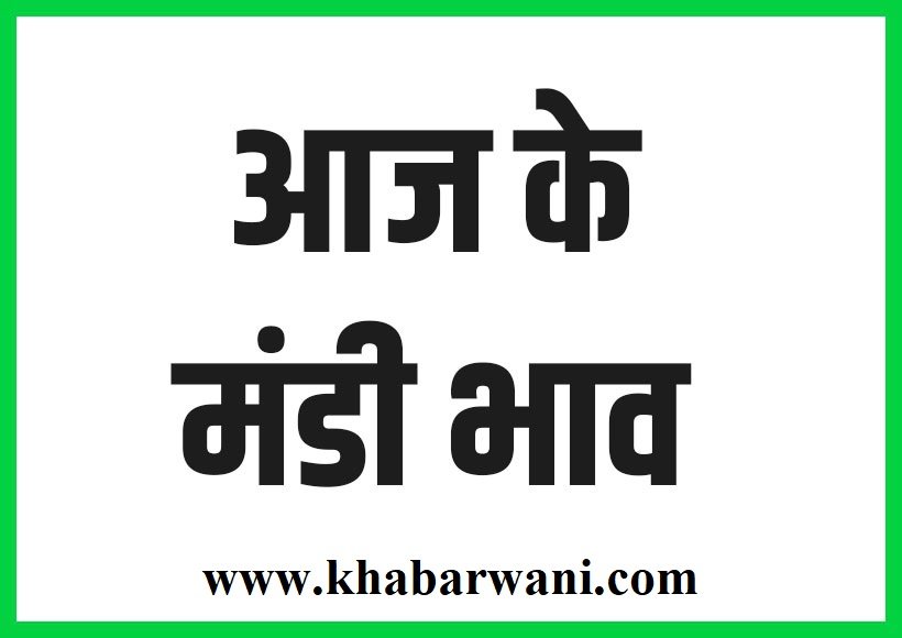 Mandi Bhav Today - जानिए मध्यप्रदेश का धान का ताज़ा मंडी भाव, खबरवानी पर मिलेगी सबसे सटीक जानकारी,