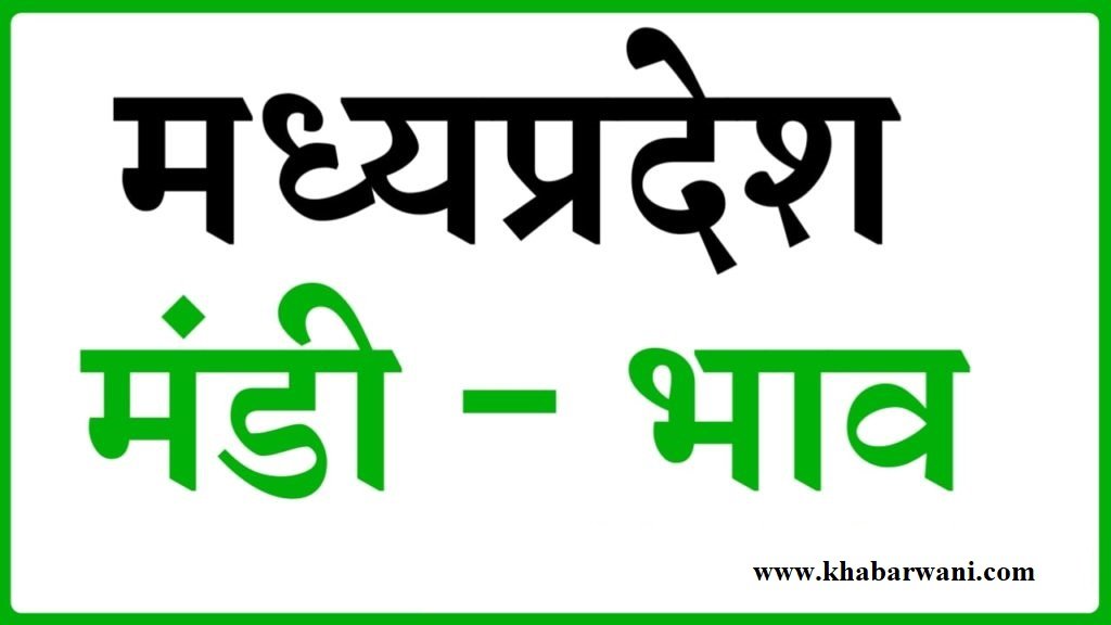 MP Mandi Update - टमाटर के भाव के साथ साथ इन सब्जिओ के भाव में बड़ी तेजी,