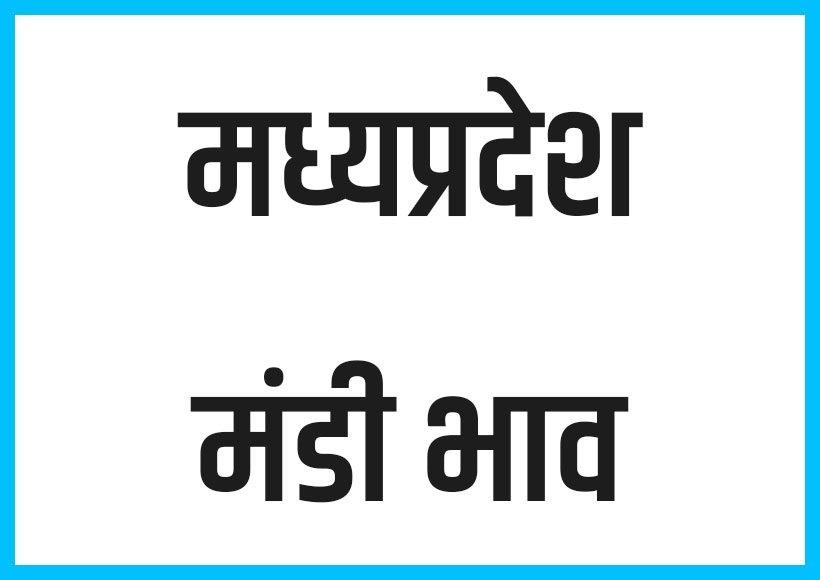 MP Mandi Bhav – जानिए आज का मंडी भाव, कब होगी सब्जिया सस्ती?