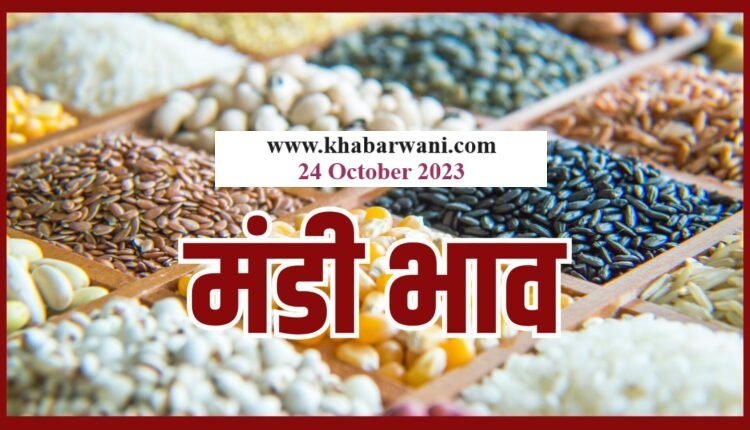 Mandi Bhav 24 October 2023 – जानिए आज के ताज़ा अनाज, दालों, सब्जिओ के मंडी भाव,