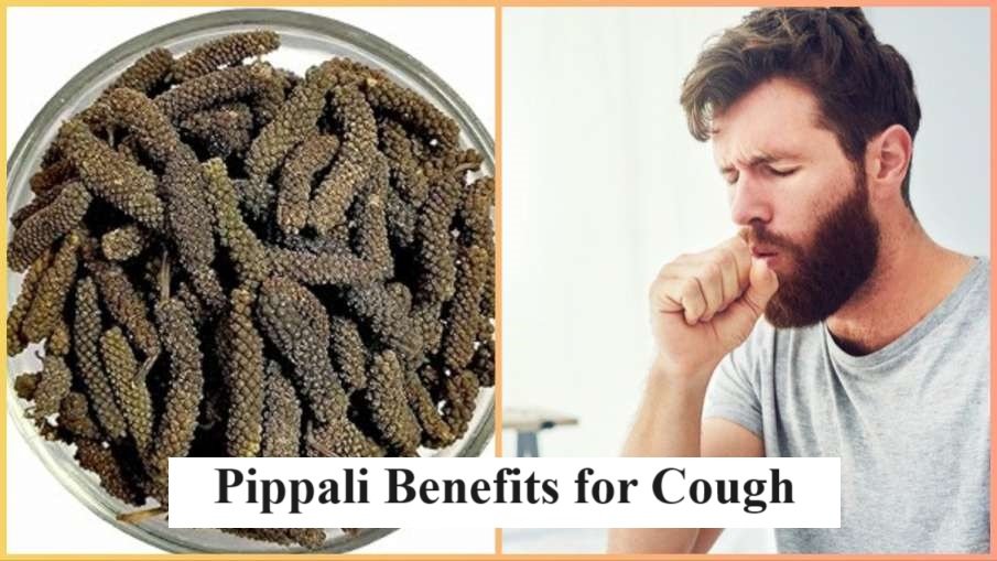 Pippali Benefits for Cough - जानिए सूखी खांसी और गीली खांसी में पिप्पली के दो बड़े फायदे,