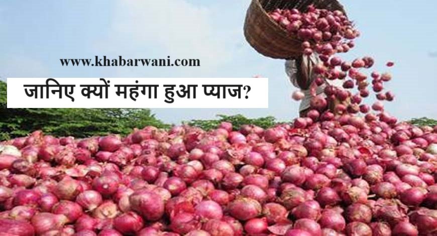 Onion Price Hike - जानिए क्यों महंगा हुआ प्याज? बढ़ती कीमतों को देख सरकार ने उठाया बड़ा कदम,