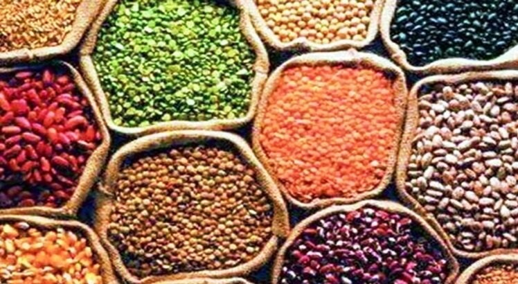 MP Kharif Crop - Date extended for registration of Kharif crop