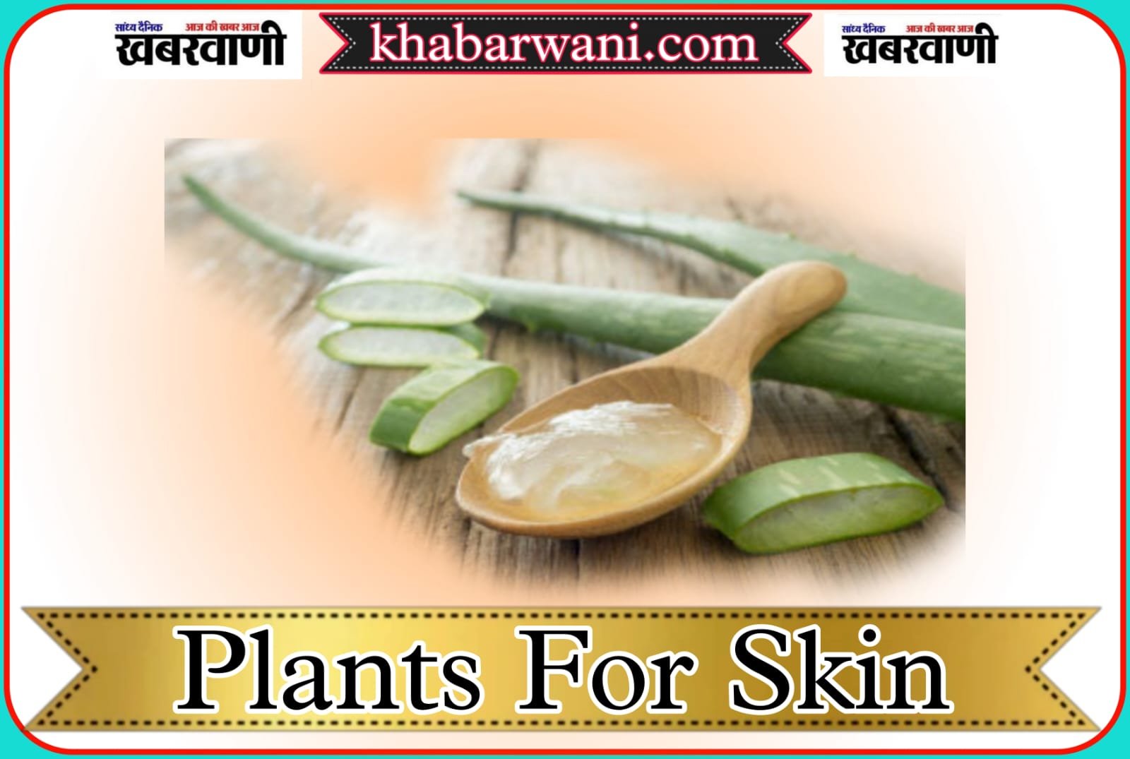 Plants For Skin - Use these plants at home on the skin.