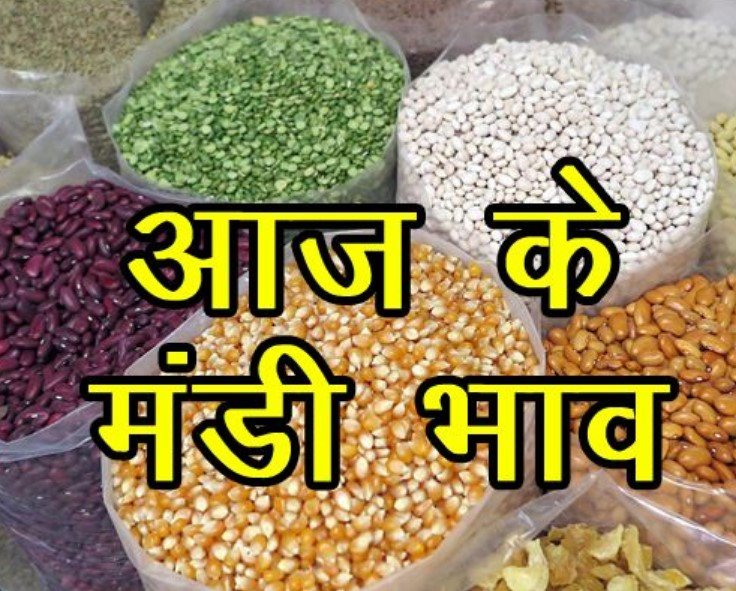 Mandi Bhav 17 November 2023 - जानिए आज के ताज़ा अनाज, दालों, फलों सब्जियों के भाव के मंडी भाव,