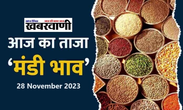 Mandi Bhav 28 November 2023 - जानिए आज के ताज़ा अनाज, दालों, फलों सब्जियों के भाव के मंडी भाव,