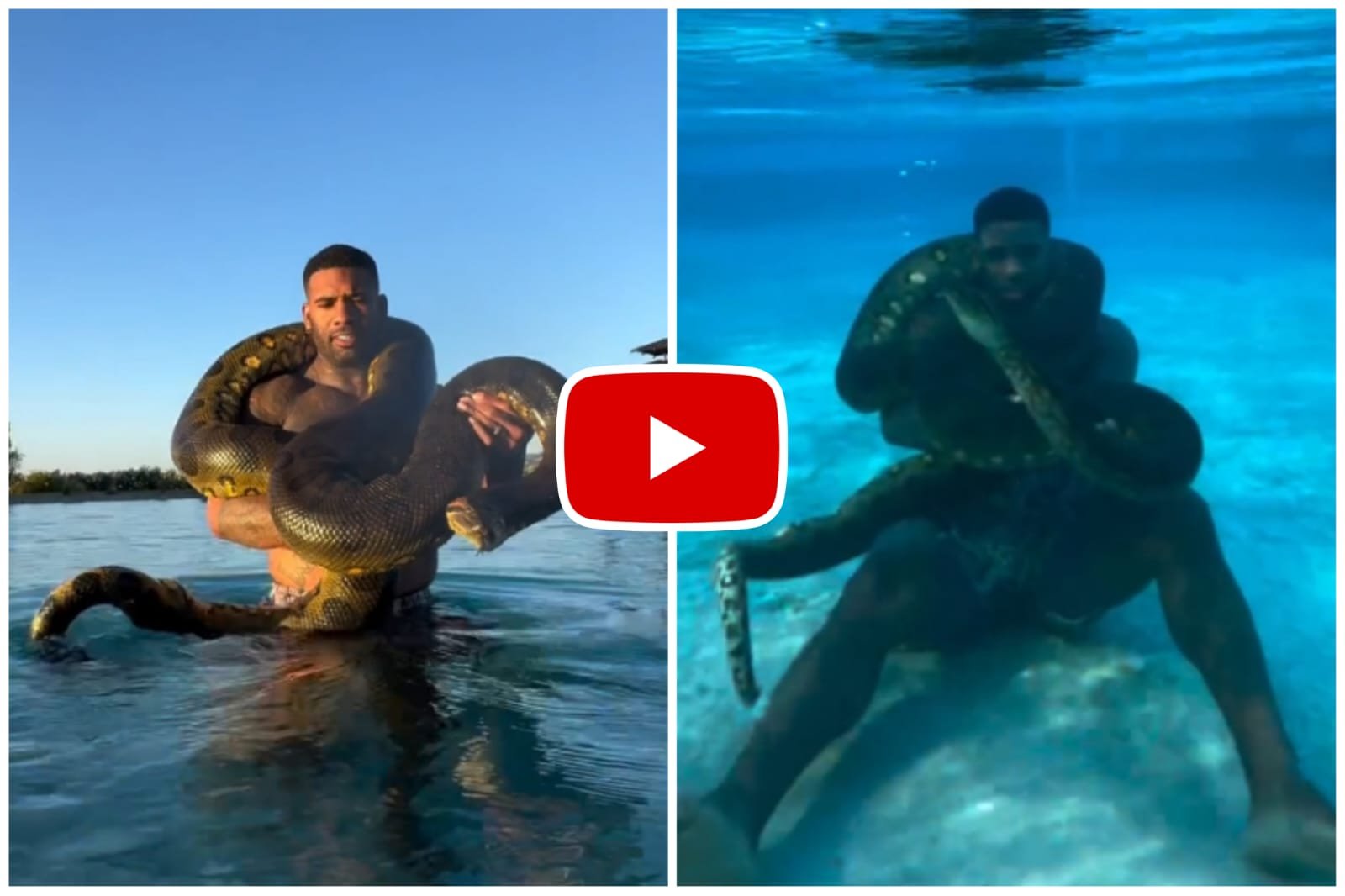 Anaconda Ka Video - Man entered water with giant snake