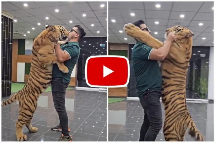 Bagh Ka Video - When a person hugged the dreaded tiger
