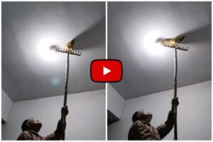 Murgi Ka Jugaad - Jugaad installed to get rid of electric insects near the bulb