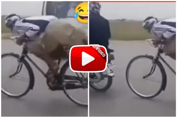 Bike Aur Cycle Ka Video - Uncle rode the bicycle at the speed of a bullet
