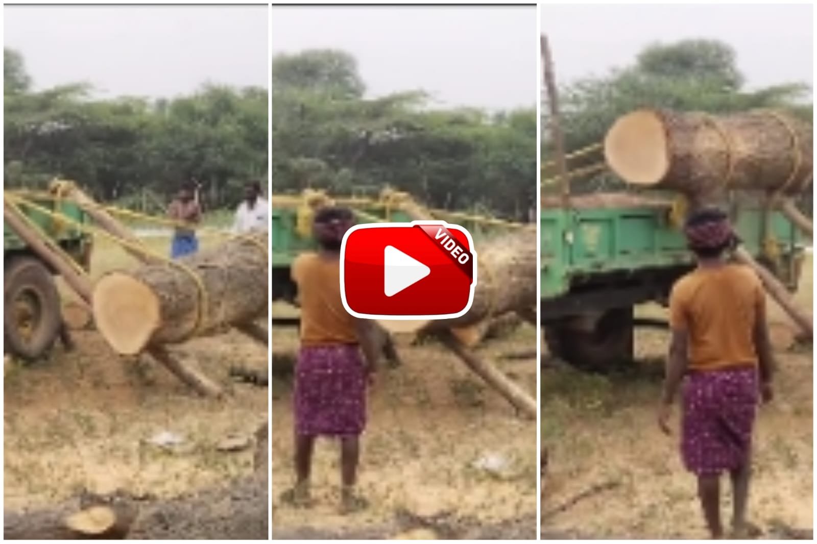 Desi Jugaad Video - Engineer's brain used to load heavy wood