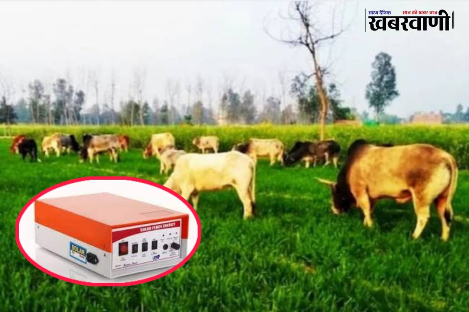 This Jhatka Machine will stop Nilgai and stray animals from creating havoc in the fields.