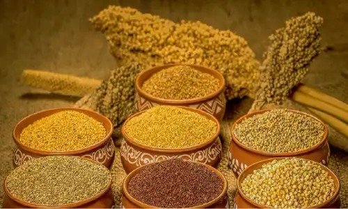 Benefits of Millets – These coarse grains are full of many beneficial benefits.