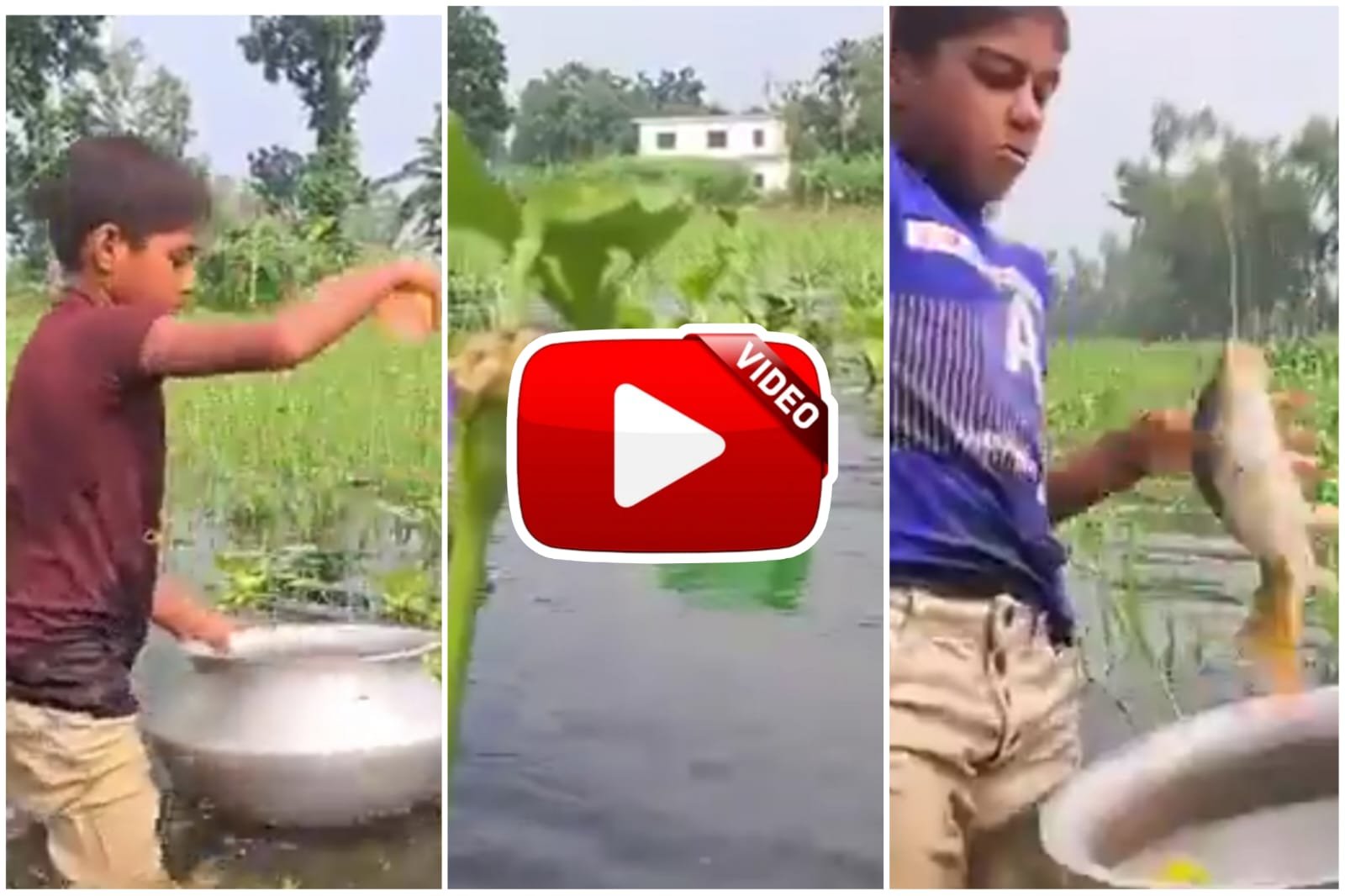 Viral Video - Boy tries to catch fish with the help of plastic bottle