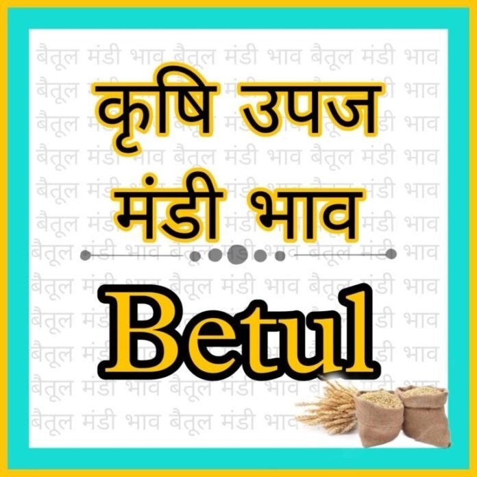 Betul Mandi Bhav - बैतूल कृषि उपज मंडी के आज 16 फरवरी 2024 दिन शुक्रवार के भाव,