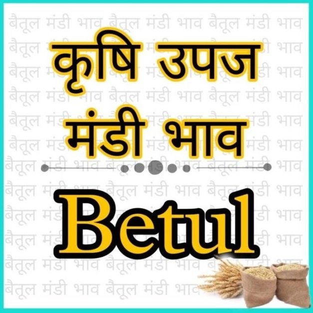Betul Mandi Bhav – बैतूल कृषि उपज मंडी के आज 19 फरवरी 2024 दिन सोमवार के भाव,