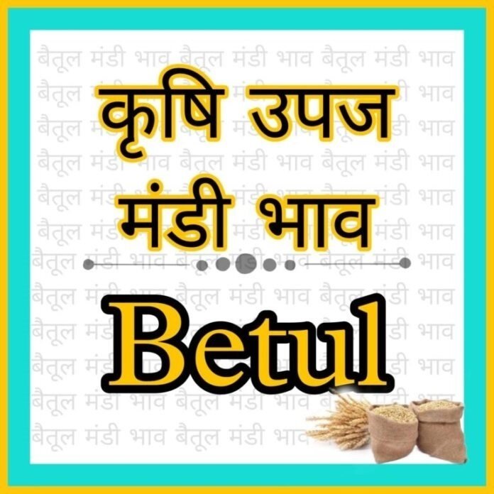 Betul Mandi Bhav – बैतूल कृषि उपज मंडी के आज 20 फरवरी 2024 दिन मंगलवार के भाव,