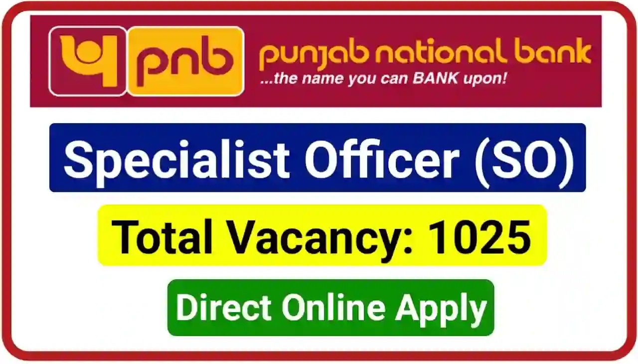 PNB Vacancy 2024 - 1000 पदों पर पंजाब नेशनल बैंक में निकाली बंपर भर्ती, जानिए कैसे करे आवेदन,