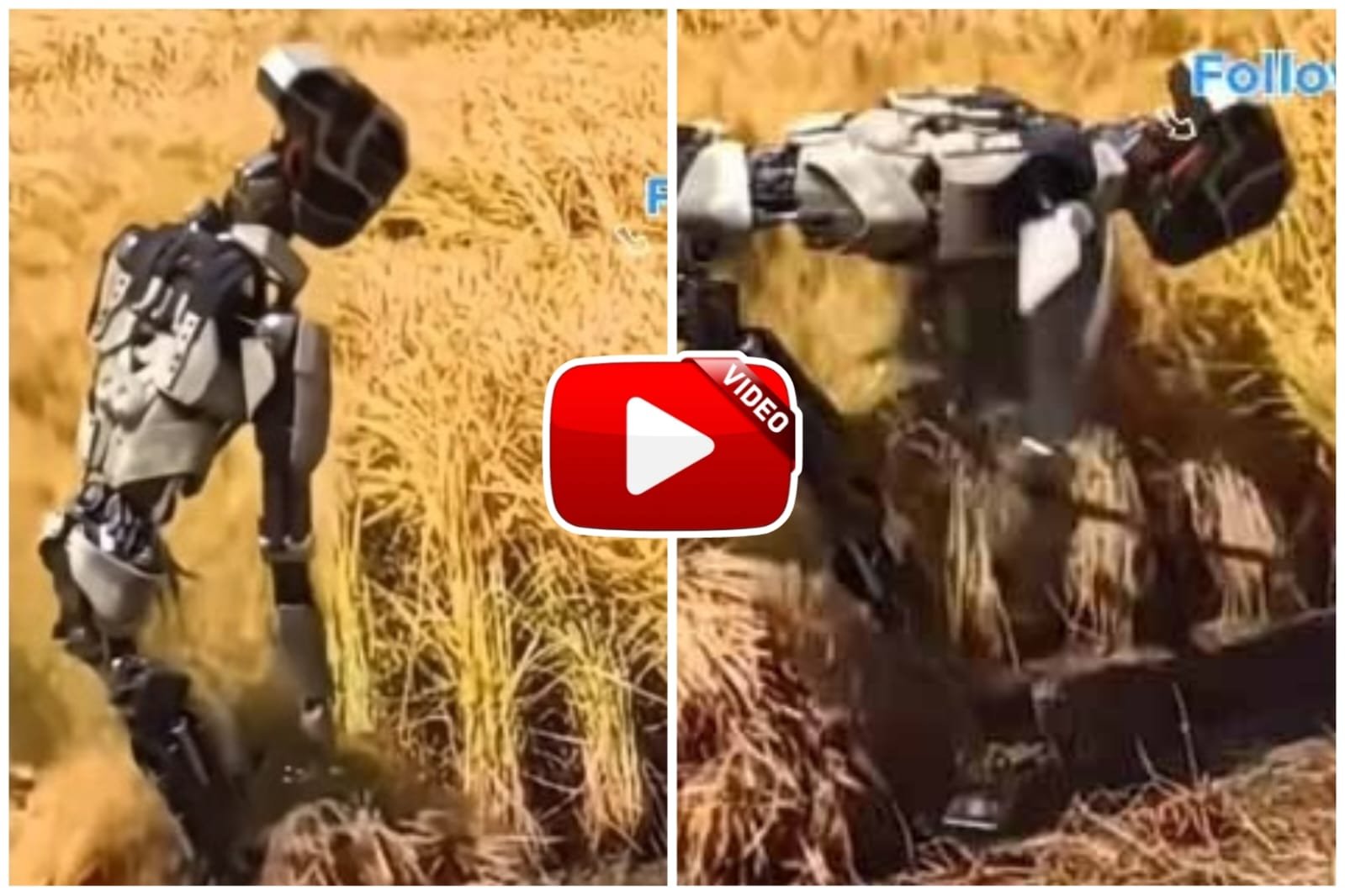 AI Robot Ka Video - Robot will re-place the farmer in the fields