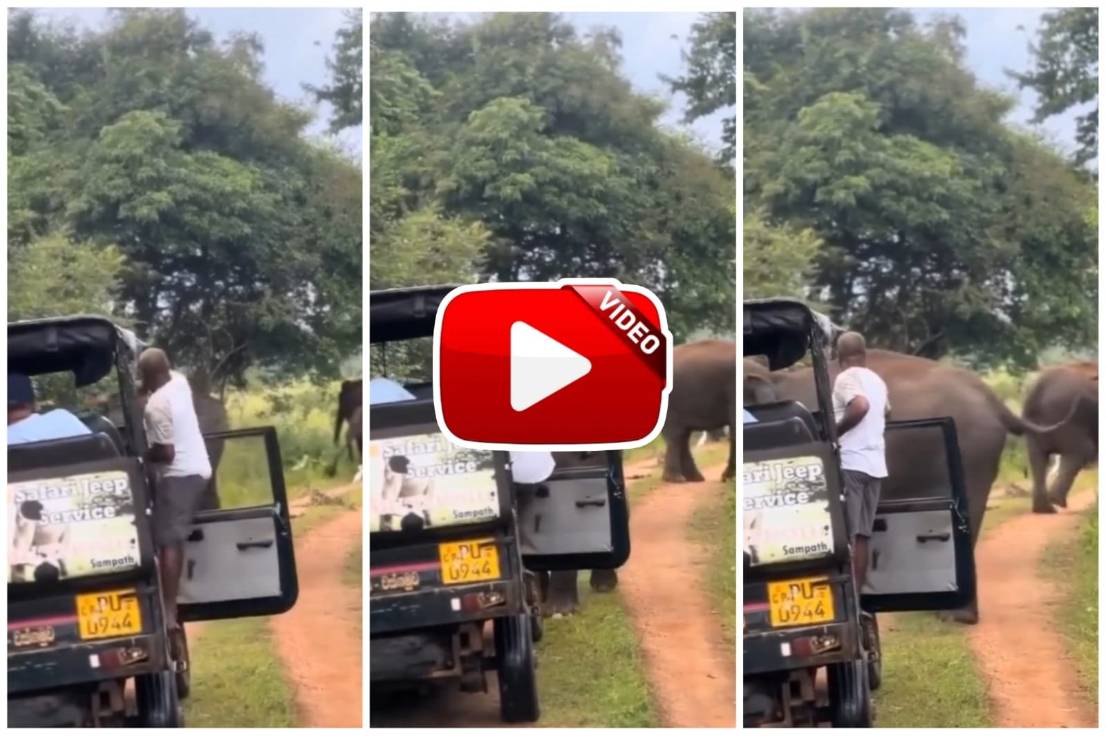 Hathi Ka Video - Angry elephant was controlled by a gesture from the tourist guide