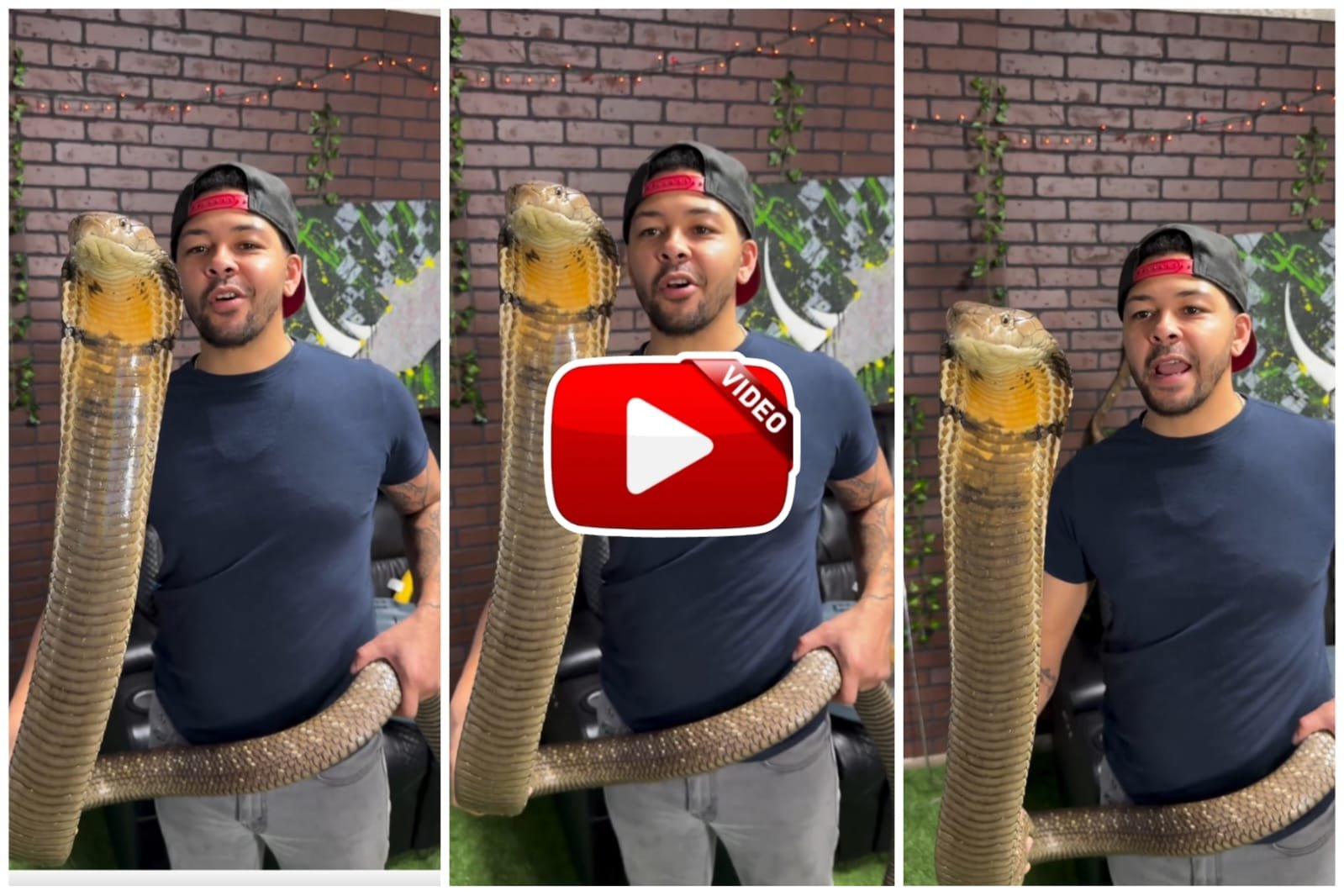 King Cobra Ka Video - Boy seen balancing giant Cobra in his hands