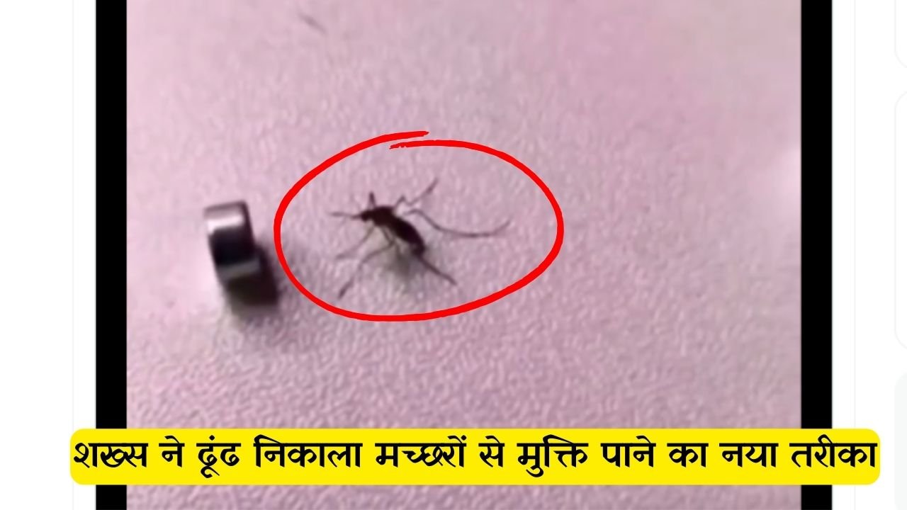 शख्स ने ढूंढ निकाला मच्छरों से मुक्ति पाने का नया तरीका, देखे इस वीडियो में…