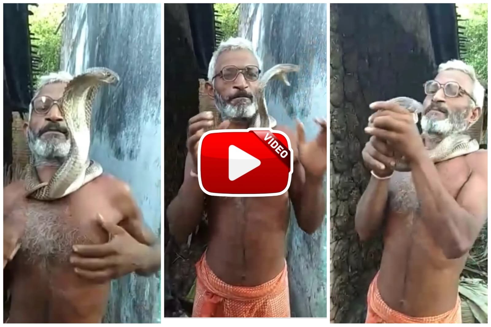 Cobra Ka Video | Uncle started performing tricks by putting Nagraj around his neck.
