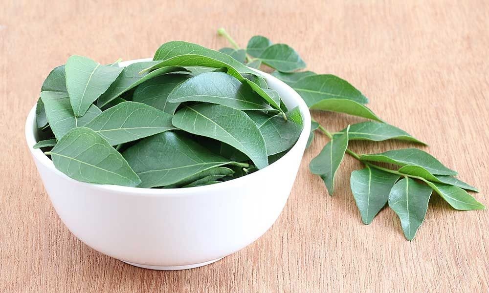 Benefits of Curry Leaves | Amazing health benefits of curry leaves, a unique combination of taste and health.