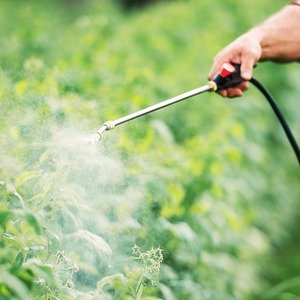 Organic Pesticide - Farmers have the option to prepare organic pesticides at home