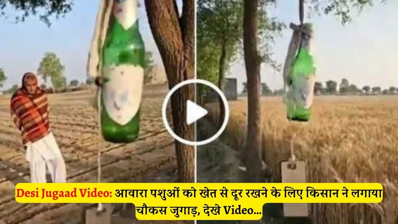 Desi Jugaad Video: आवारा पशुओं को खेत से दूर रखने के लिए किसान ने लगाया चौकस जुगाड़, देखे Video…