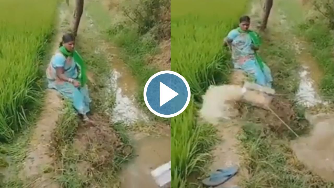 खेत की सिंचाई के लिए महिला किसान ने लगाया अद्भुत जुगाड़! देखे Video...