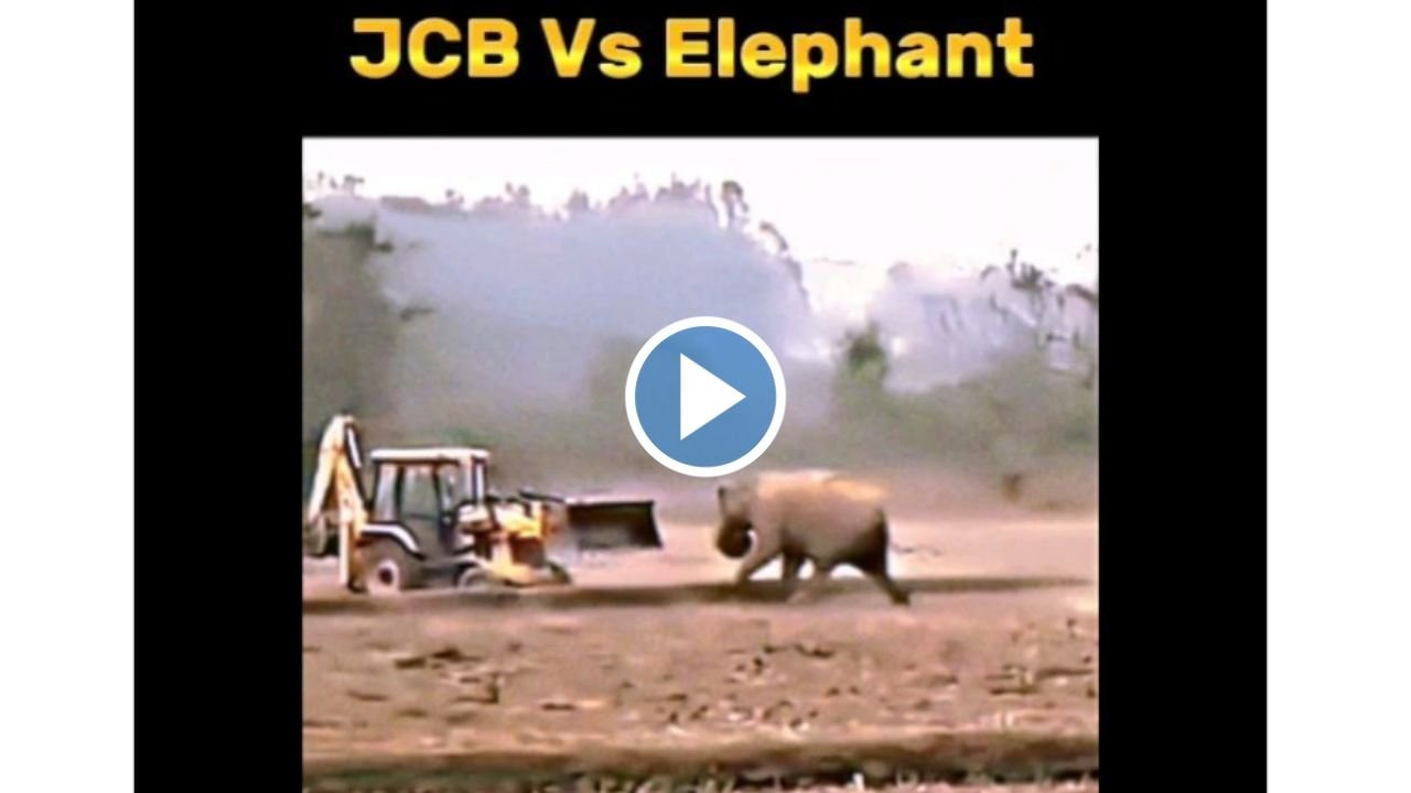 JCB मशीन और गजराज हाथी के बीच छिड़ी जंग! जाने कौन पड़ा किसपे भारी? देखे वीडियो