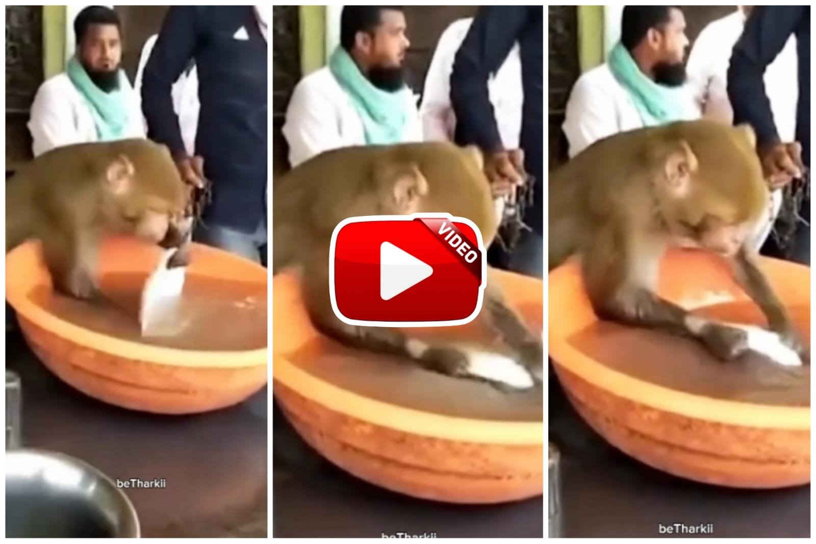 Bandar Ka Video | Monkey seen washing utensils at a tea shop