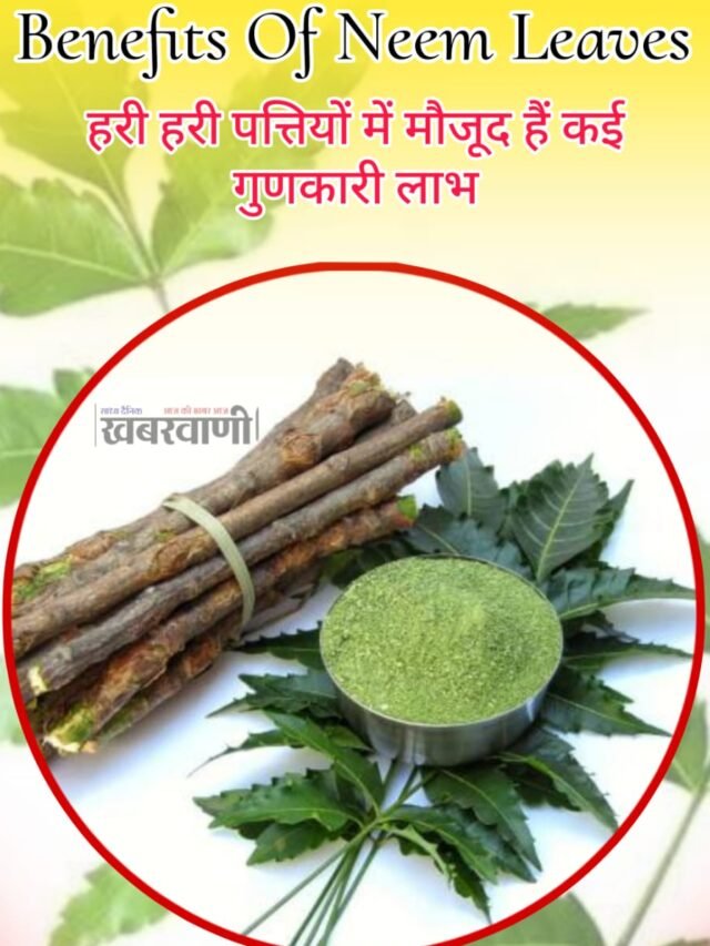 Benefits Of Neem Leaves – There are many beneficial benefits in these green leaves.