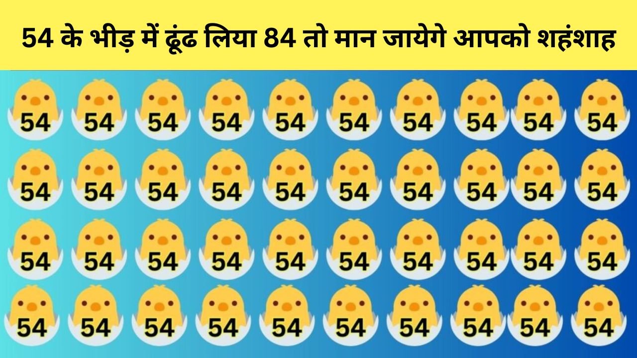 Optical illusion: 54 के भीड़ में ढूंढ लिया 84 तो मान जायेगे आपको शहंशाह