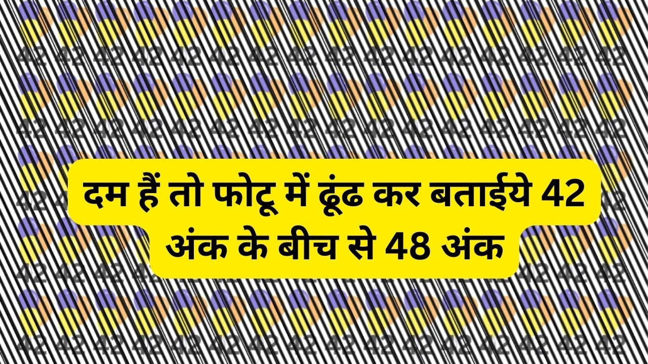 Optical Illusion: दम हैं तो फोटू में ढूंढ कर बताईये 42 अंक के बीच से 48 अंक