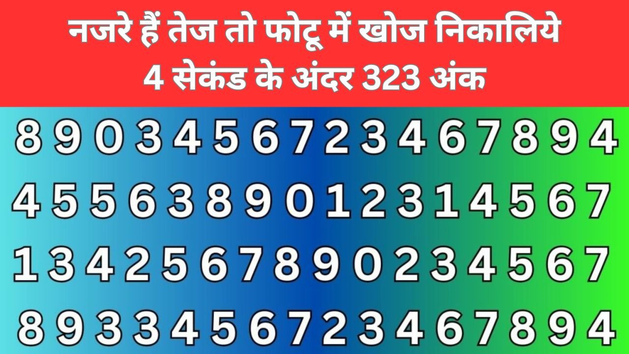 Optical illusion - नजरे हैं तेज तो फोटू में खोज निकालिये 4 सेकंड के अंदर 323 अंक