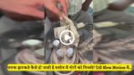 पलक झपकते कैसे हो जाती है मशीन में नोटों की गिनती? देखे Slow Motion में…