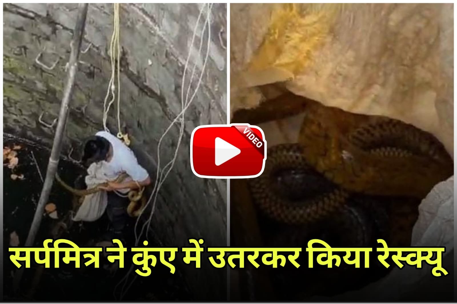 Snake Rescue | Dhaman couple who fell in the well rescued