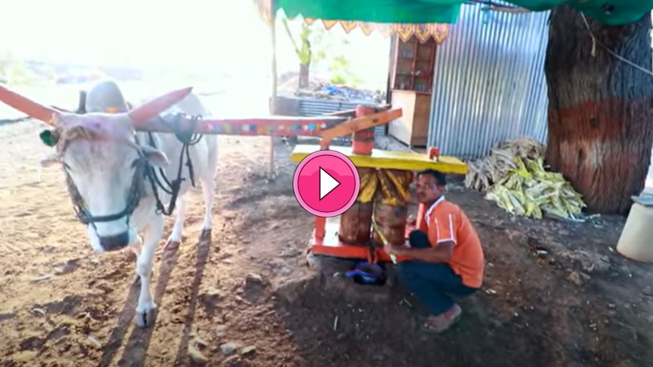 Desi Jugaad Video: बिना बिजली बिना ईंधन के गन्ने का रस निकालने वाली जुगाड़ू मशीन, देखे वीडियो