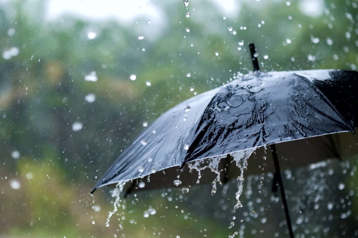 MP Weather Alert | Rain and hail alert in 33 districts of Madhya Pradesh