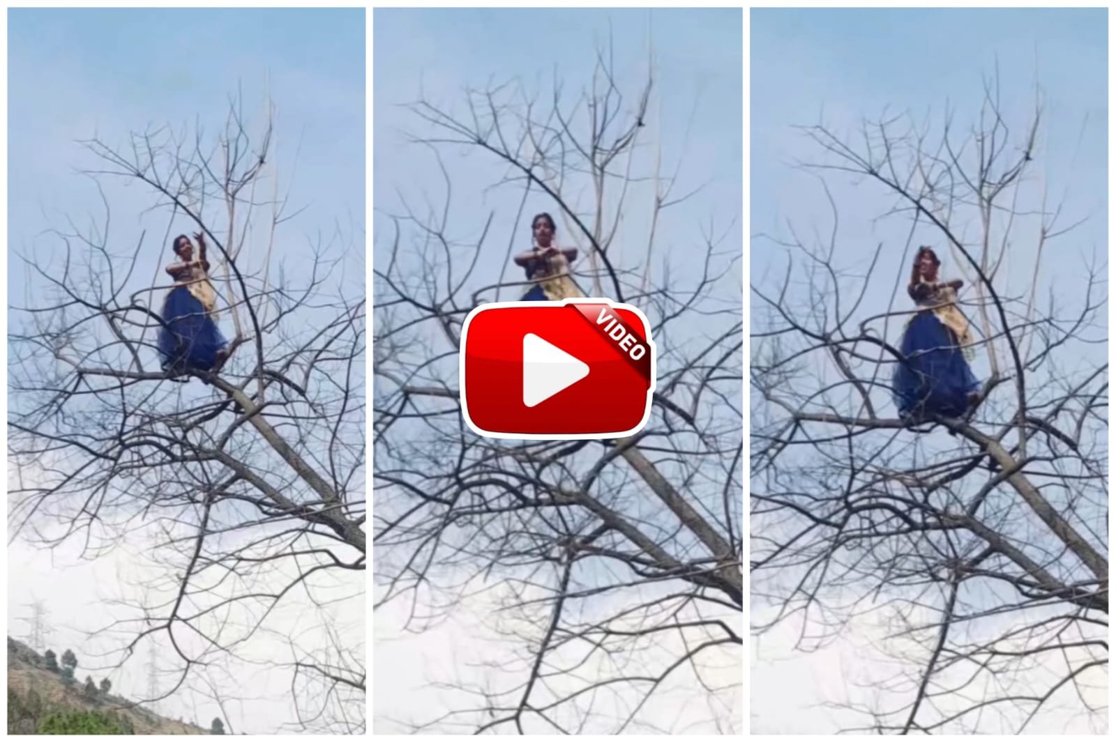 Girl's Dance Video | The girl climbed the branch of a tall tree and started dancing