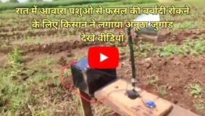 Desi Jugad: रात में आवारा पशुओ से फसल की बर्बादी रोकने के लिए किसान ने लगाया अनूठा जुगाड़, देखे वीडियो