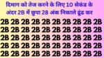 Optical Illusion: फ्री फ़ोकट में दिमाग को तेज करने के लिए 10 सेकंड के अंदर 2B में छुपा 28 अंक निकाले ढूंढ कर