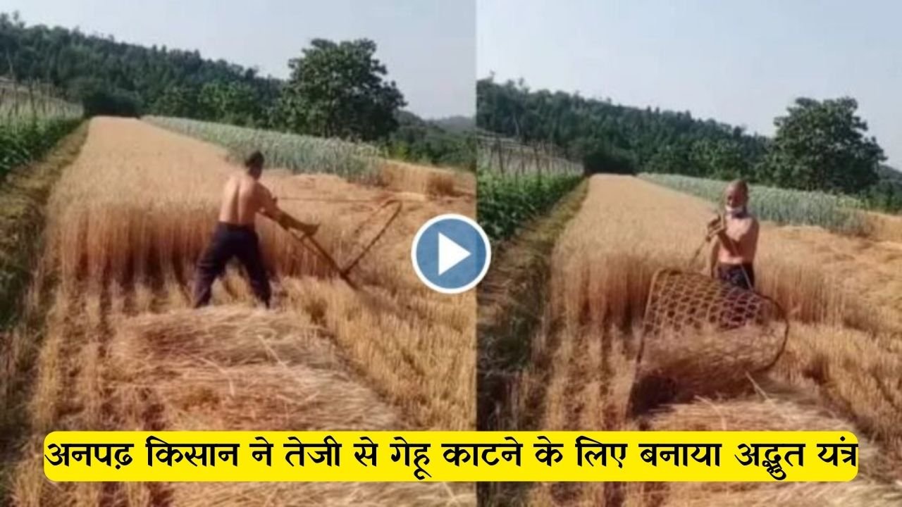 अनपढ़ किसान ने तेजी से गेहू काटने के लिए बनाया अद्भुत यंत्र, घंटो का काम कर दिखाया मिनटों में, देखे वीडियो