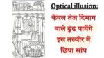 Optical illusion: केवल तेज दिमाग वाले ढूंढ पायेंगे इस तस्वीर में छिपा सांप, ढूंढ लिया तो कहलाओगे खतरों के खिलाड़ी